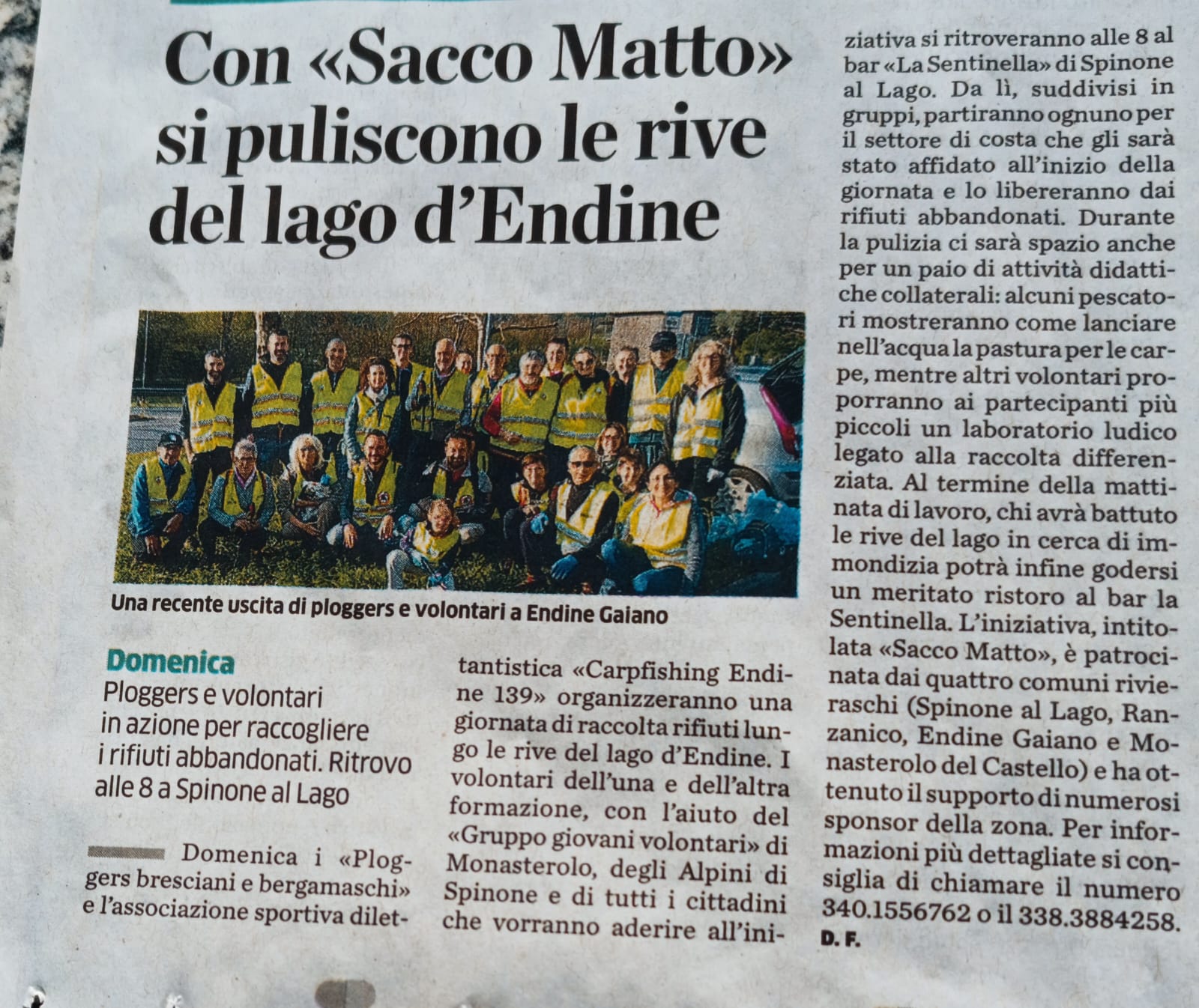 Spinone al Lago-2025